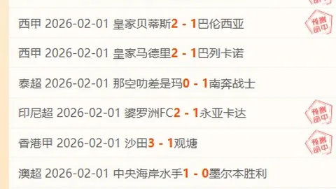 鲁尼：霍伊伦与齐尔克泽再现贝里昂初入曼联风采