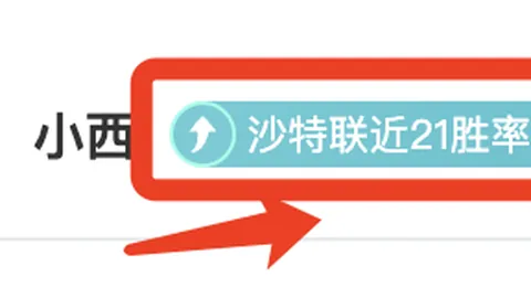 奥运奖牌榜争议：金牌数量与总奖牌排名，媒体看法分歧